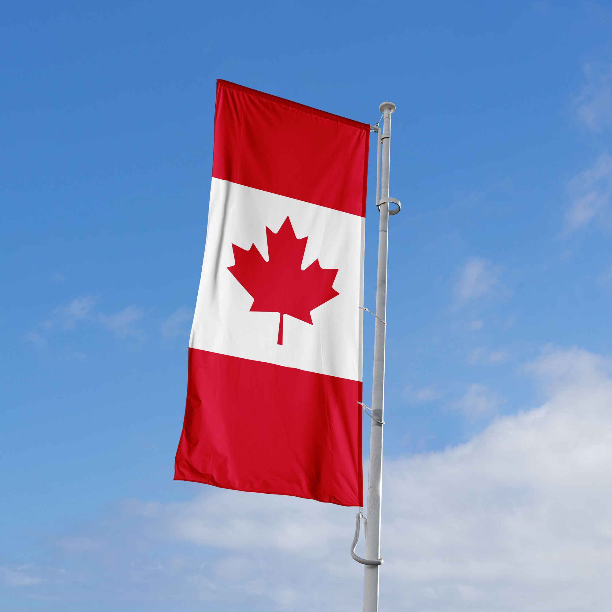 Auto Message Banners – Promote with Impact - Image 7