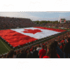 Large Commercial Canada Flags — Built to Make a Statement